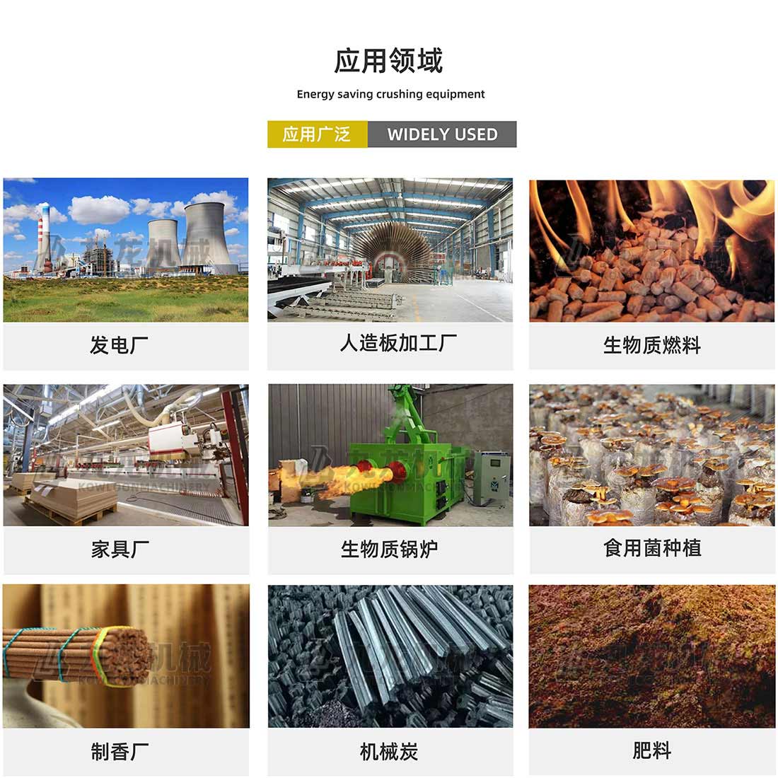 �C������C�����I(l��ng)��