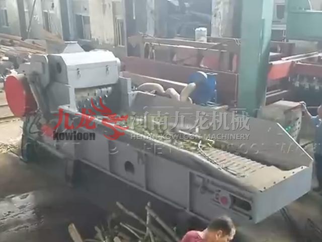 �C��ľ����Ƭ̎���F(xi��n)��(ch��ng)